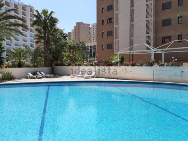 בנידורם Appartement Vue Sur Mer Avenue De L'Europe מראה חיצוני תמונה