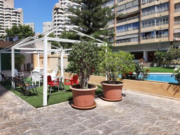 בנידורם Appartement Vue Sur Mer Avenue De L'Europe מראה חיצוני תמונה